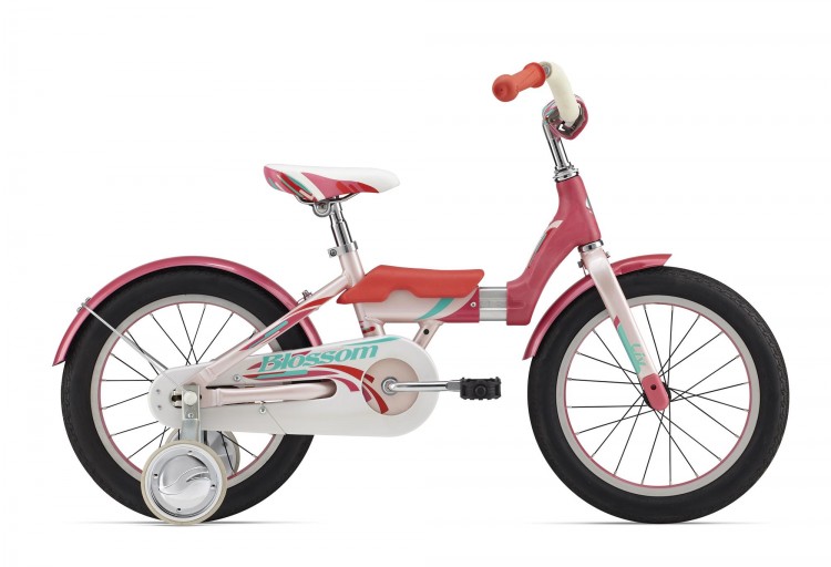 Велосипед детский Giant Blossom C/B 16 (2016)