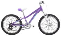 Велосипед детский Fuji Dinamite 20'' Girl (2014)