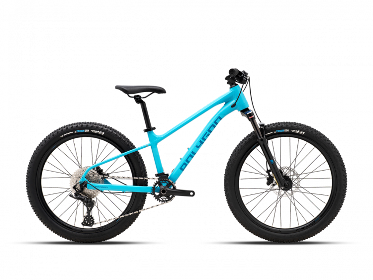 Велосипед детский Polygon Xtrada 24'' (2023)