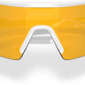 Очки Oakley Radar Plate PRIZM 24K Polarized