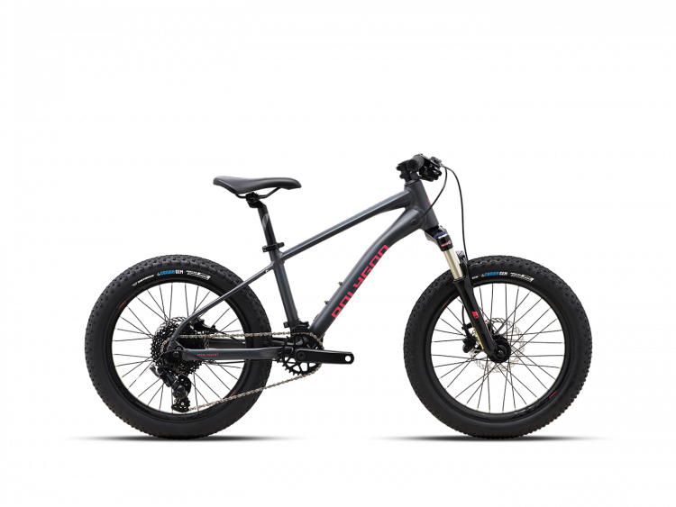 Велосипед детский Polygon Xtrada 20 (2023)