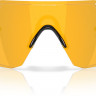Очки Oakley CYBR Dyno PRIZM 24