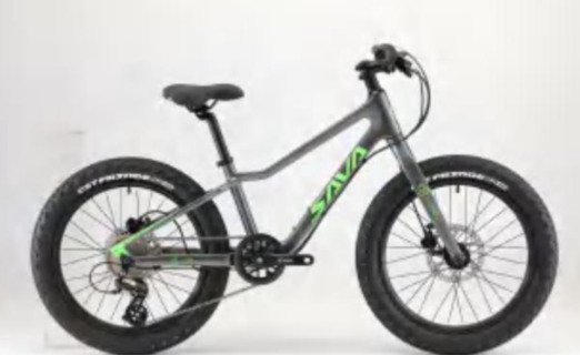 Велосипед детский Sava Scion 20''