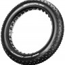 Велосипедная покрышка Schwalbe Jumbo Jim Evo Super Ground Addix SpeedGrip E-25, 26x4.0''