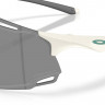 Очки Oakley CYBR Dyno PRIZM Black